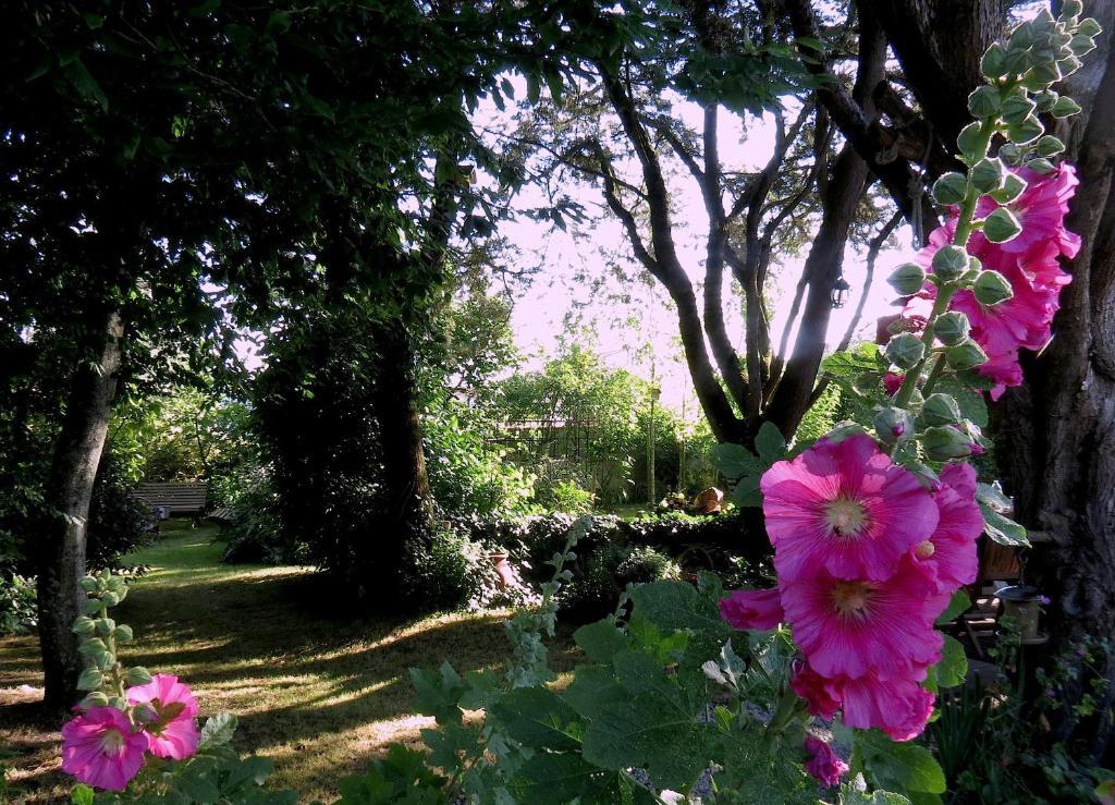 La Claverie Sainte-Radégonde-des-Noyers Dış mekan fotoğraf